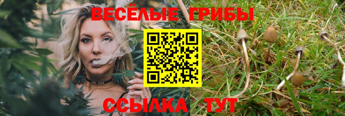 Псилоцибиновые грибы GOLDEN TEACHER  Вход с VPN  Изобильный 